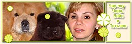 Чау-чау Чара, Вайс и Татьяна