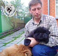 чау-чау Вайс и Чара