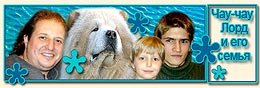 Чау-чау Лорд и его семья