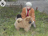чау-чау Ева