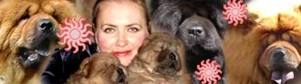 Чау-чау питомника Норцес и Лена Голубенко