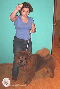 чау-чау Тема и Ирина