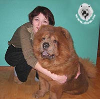 чау-чау Тема и Алсу