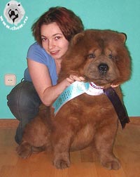 чау-чау Тема и Ирина