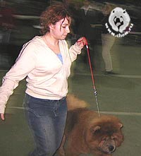 чау-чау Тема и Ирина на выставке АРТА2003
