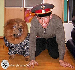 чау-чау
