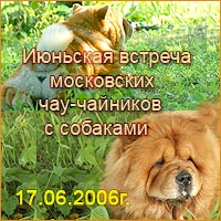 Июньская встреча московских чау-чайников с собаками